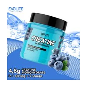 Evolite Creatine Monohydrate Blueberry 500g 2