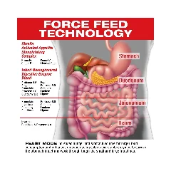 MuscleMeds Feast Mode Appettite Stimulating 90caps 4