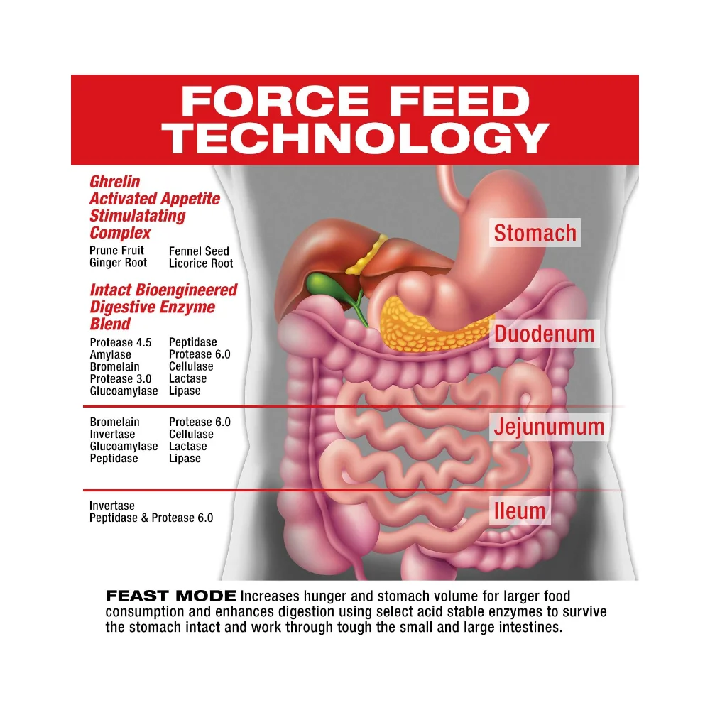 MuscleMeds Feast Mode Appettite Stimulating 90caps 4